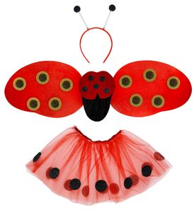 Súprava Ladybird Sukňa z tylu, čelenka a krídla