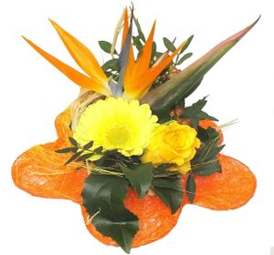 Blumenstrauß Exotic + Glasvase + Glückwunschkarte Blumenversand