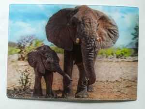 3 D Ansichtskarte Elefanten, Postkarte Wackelkarte Hologrammkarte, Tier Elefant