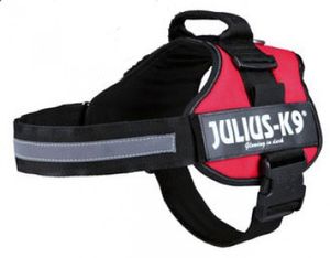 Julius K9 Power Harness Mini-MiniS 40-53cm červená