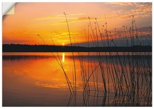 ARTland Wandbild, selbstklebend Landschaft mit Sonnenaufgang Größe: 70x50 cm