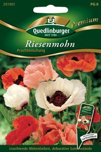 Quedlinburger Saatgut - Türkischer Mohn Prachtmischung - Samen - 291901