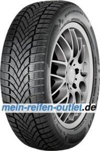 Falken EUROWINTER HS02 ( 205/50 R16 91H XL, BLK )