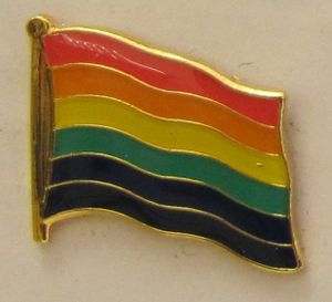 Pin Anstecker Flagge Fahne Regenbogen