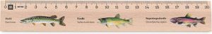 Holzlineal Metrie Buche 20 cm