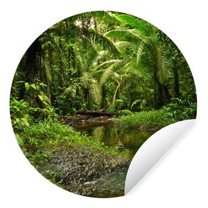 Fototapete - Rund - Kolumbien - Dschungel - Pflanzen - Ø 30 cm - Selbstklebend