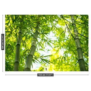 Fototapete 152x104 cm - Vlies-Fototapete - Bambus-Zweig
