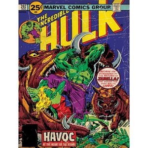 Hulk - Leinwanddruck "Havoc" PM8835 (80 cm x 60 cm) (Bunt)