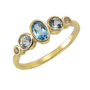 F Ring 375/- Gold gelb 060 (19,1) blau 360370604-2