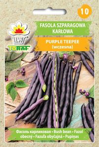 Nasiona warzyw Dwarf Bean Purple Teepee 30G