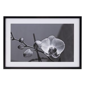 Leinwand Orchidee 65 x 2 x 95 cm Blume