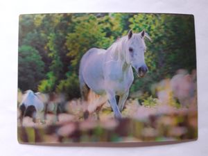 3 D Ansichtskarte weißes Pferd, Pferde Postkarte Wackelkarte Hologrammkarte, Tier Pony