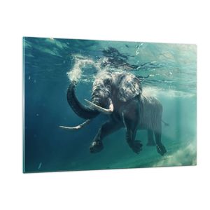 Bilder auf glas - Elefant Tier Wasser - 120x80cm - Glasbilder - Wandbilder - Kunstdruck - zum Aufhängen bereit - Wanddekoration aus Glas - Glas Bilder - Wandbild auf Glas - Einteilig - GAA120x80-3944