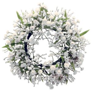 Gypsophila Muralis - wreath white - 7 cm