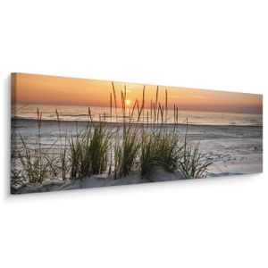 Muralo Panoramabild Canvas Strand Meer Sonne Pflanzen Natur Landschaft 3D Br. 145 cm x Hö. 45 cm