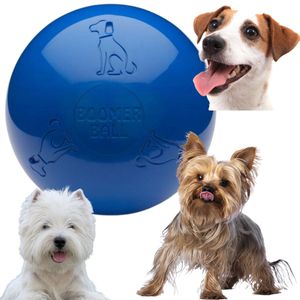 Boomer Ball unverwüstlicher Hundeball S 11 cm