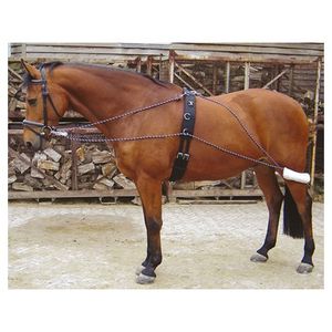Harrys Horse Longierhilfe  / Longierausbindezügel , Größe:Pony