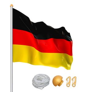 SWANEW Aluminium Fahnenmast 6,50m inkl Seilzug inkl Deutschlandfahne Flaggenmast Mast Flagge Alu
