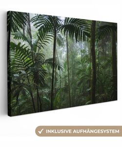 OneMillionCanvasses® - Leinwandbilder - 150x100 cm, Regenwald - Tropisch - Dschungel - Bäume - Pflanzen, Wandbilder Kunstdruck Wanddekoration