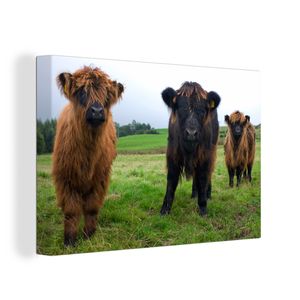 OneMillionCanvasses® - Leinwandbilder - 150x100 cm, Schottische Hochlandrind - Kühe - Natur - Grün - Gras, Wandbilder Wohnzimmer Hochland Rind - Tier Wanddekoration - Hochland Rind - Kuh - Gemälde auf