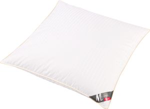 Meisterhome Daunen Kopfkissen Daunen Federn Baumwolle Maße: 80 x 80 cm Platinum - 2000 Gramm