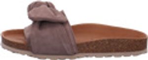 Verbenas ROXY VELOUR hnědá