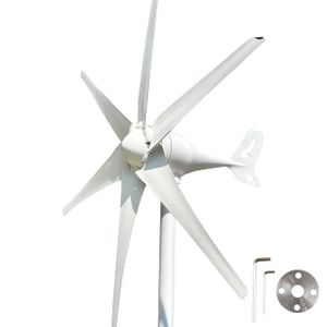 Windturbinengeneratoren, MPPT-Ladung, Niedrigdrehzahl-Windmühle, 24V, Nur Windturbine, 2000W