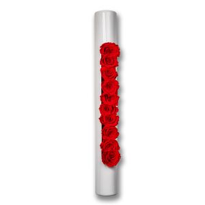 Infinity-Bloom bigTube - weiß/rot - 65x7,5 cm