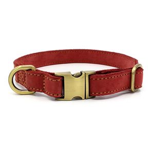 Haustiere Hund Welpe verstellbare Namens-ID-Tags Halsband D-Ring Halskette weiches Halsband-Rot,M
