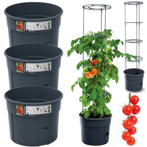 Zestaw 3 doniczek Prosperplast | Tomato Grower | do uprawy pomidorów | czarny | 30 cm
