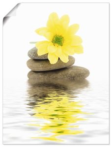 Dinostock: Zen Spa Steine mit Blumen II, Produkt:Poster, Größe (HxB):80x60 cm / Poster