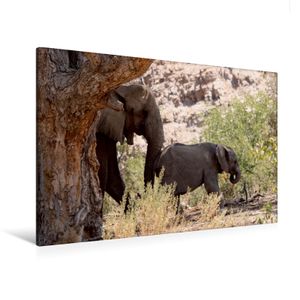 Calvendo  Textil-Leinwand 120 cm x 80 cm quer Elefant mit Baby unterwegs.  Jumbo - Auf den Spuren der Elefanten in Namibia, Imhof Walter; 7342890