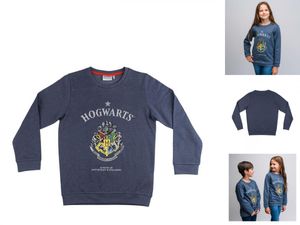 Jungen Sweater ohne Kapuze Harry Potter Dunkelblau Sweatshirt Pullover