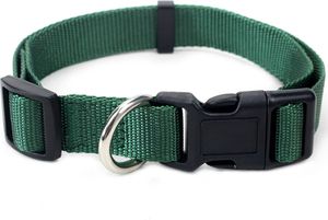 Hundehalsband Nylon Halsband Hunde große Farbauswahl 3 Größen grün Größe M