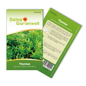 Thymian Deutscher Winter Samen - Thymus vulgaris - Thymiansamen - Kräutersamen - Saatgut für 150 Pflanzen