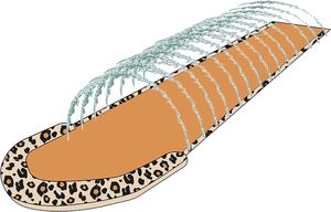 Swim Essentials Toboggan Aquatique Arroseur - Léopard Beige