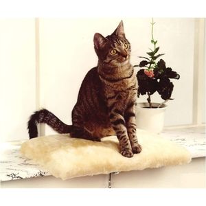 CAT BONBON Fensterliege "Amy" beige