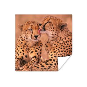 MuchoWow® Poster Baby-Geparden 100x100 cm - Babyzimmer