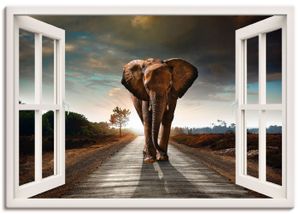 ARTland Leinwandbild Elefant auf Straße - weißes Fenster Größe: 100x70 cm