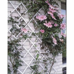 Nature Garten-Rankgitter 100x200 cm PVC Weiß 6040703