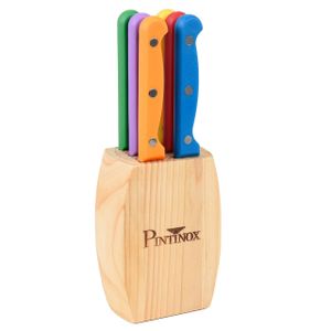 PINTINOX SteakmesserBlock Steakmesser Haushaltsmesser mehrfarbig 6 Messer