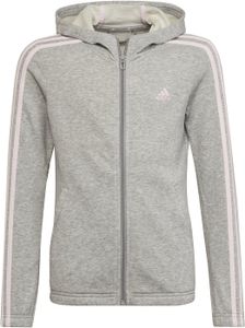 Mikina Adidas Jr HoodieHM8752