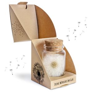 Wunscherfüller echte Pusteblume im Glas inkl. Geschenkbox | handgefertigt in Deutschland | ideales Geschenk für Geburtstag, Hochzeit, Abschluss und mehr