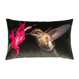 pad Kissenhülle Colibri pink 30 x 60 cm Vogel-Motiv Blume 100% Polyester Velour