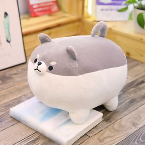 40cm Fat Shiba Inu Hund Plüschtier Kuschelweicher Hund Cartoon Kissen Geschenk für Kinder Baby, grau/weiß