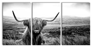 Highland Rind mit großen Hörnern Steppe, Monochrome, XXL Leinwandbild in Übergröße 240x120cm Gesamtmaß 3 teilig / Wandbild / Kunstdruck