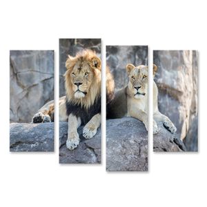Bild auf Leinwand Männliche Und Weibliche Löwen Sitzt Auf Einem Felsen  Wandbild Leinwandbild Wand Bilder Poster 130x80cm 4-teilig