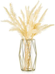 Rautenförmige Eisenvase, Tischdekoration, hydroponischer Blumenarrangeur aus Glas, Gold