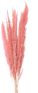 Clayre & Eef 5DF0022 Suszone kwiaty 100 cm (10) różowy