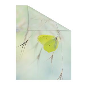 Lichtblick Fensterfolie selbstklebend, Sichtschutz, Schmetterling - Grün 50 cm, 50 x 50 cm (B x L)